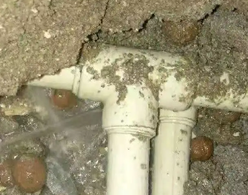 泰州测漏水多少钱