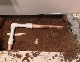 泰州测漏水哪家好