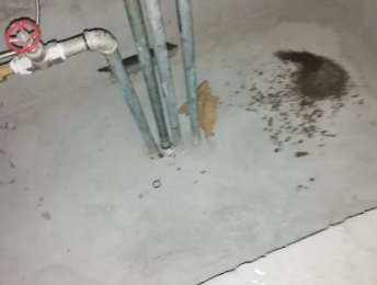 泰州卫生间测漏水价格明细